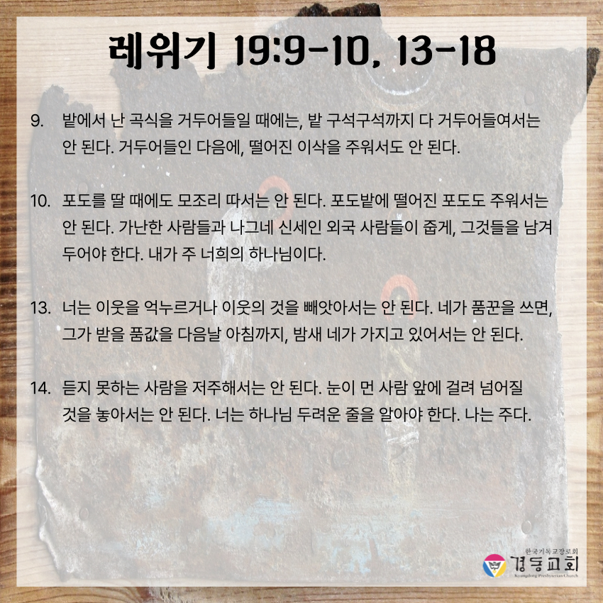 KakaoTalk_20250808_180838002_06.jpg