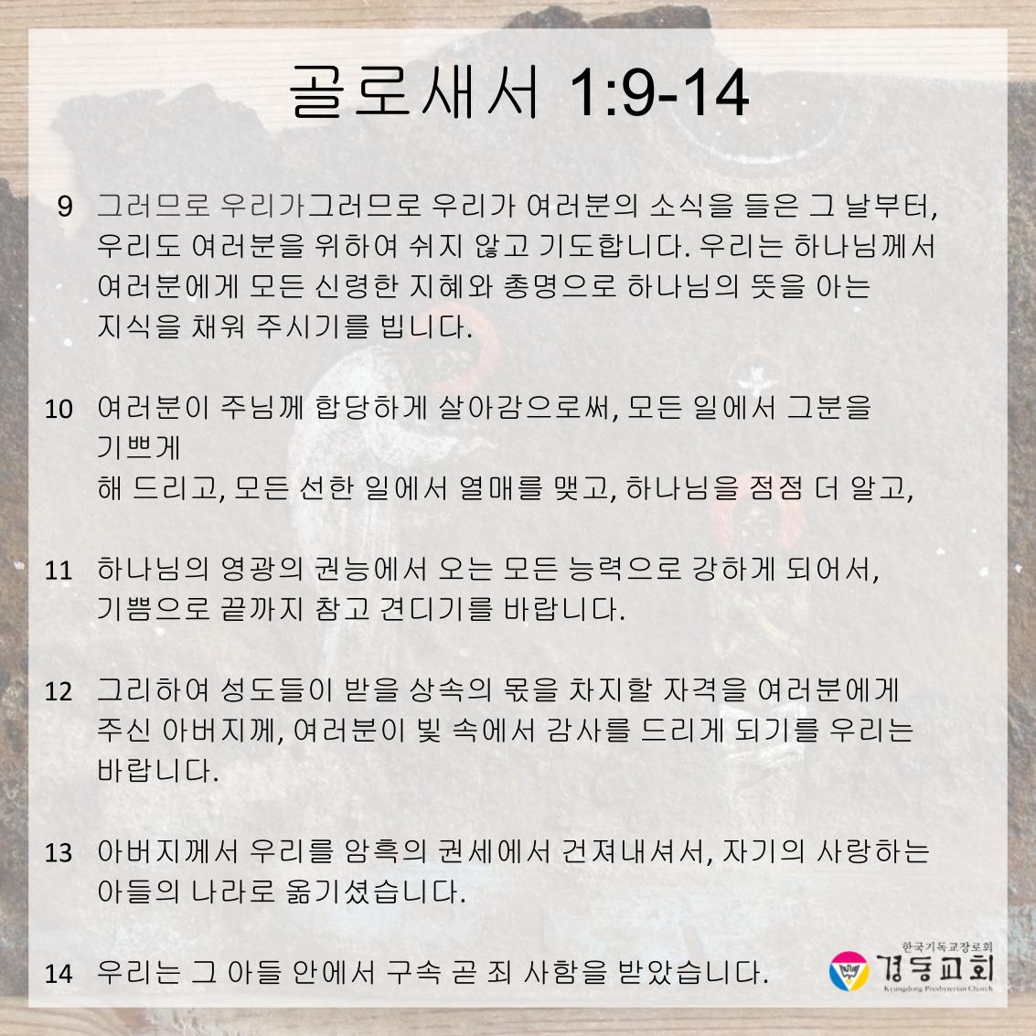 250928주보 (7).jpg