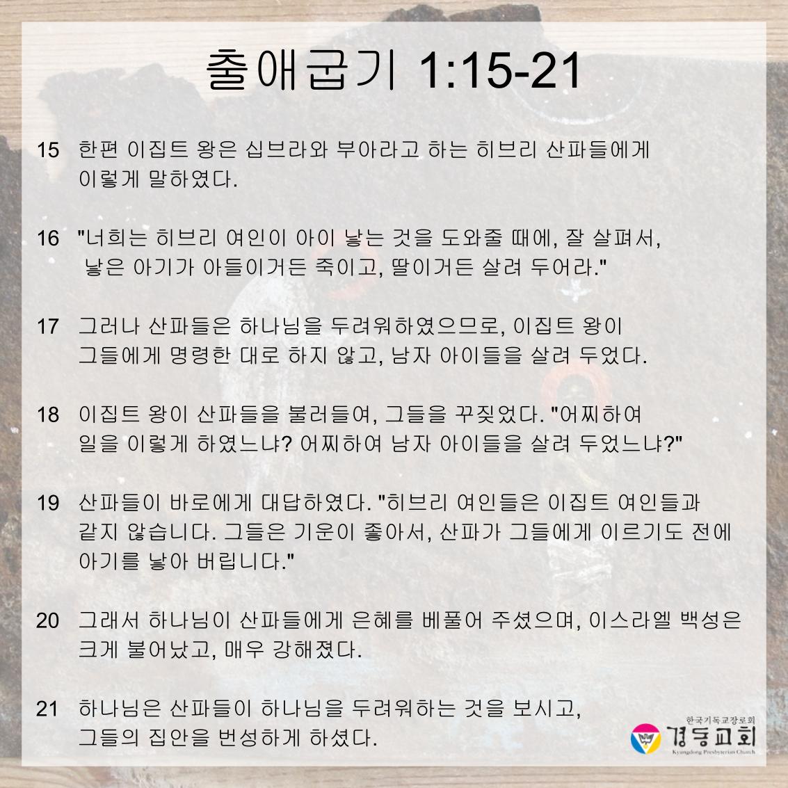 KakaoTalk_20260822_121510220_04.jpg