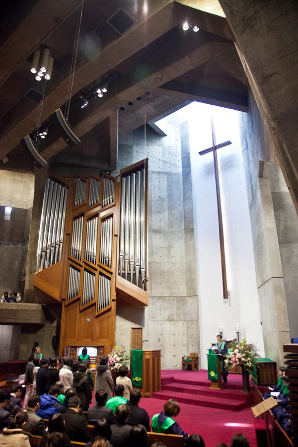 _MG_8082.jpg