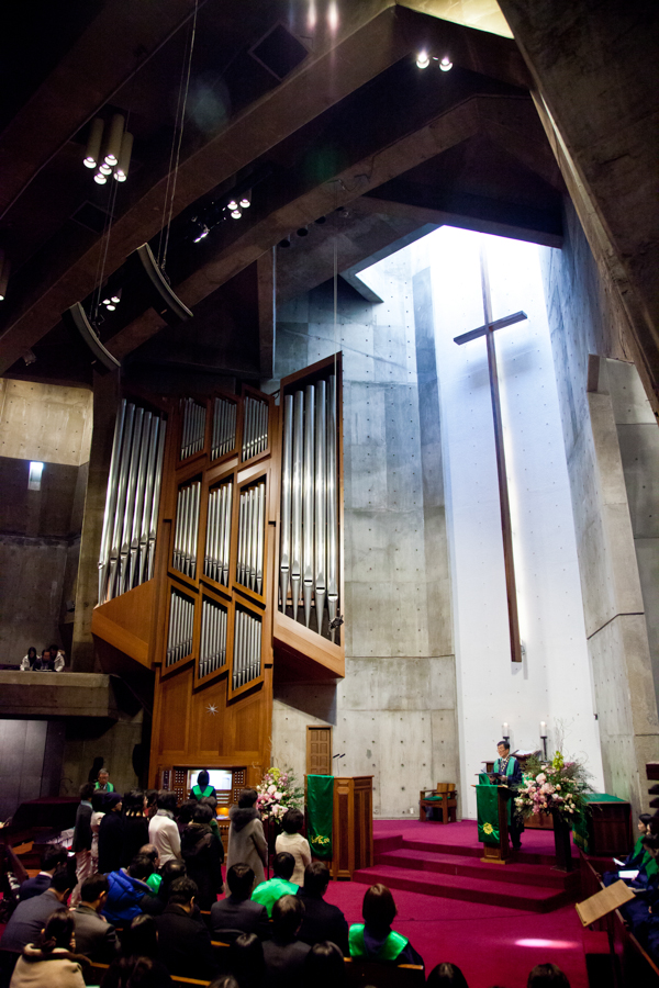 _MG_8084.jpg