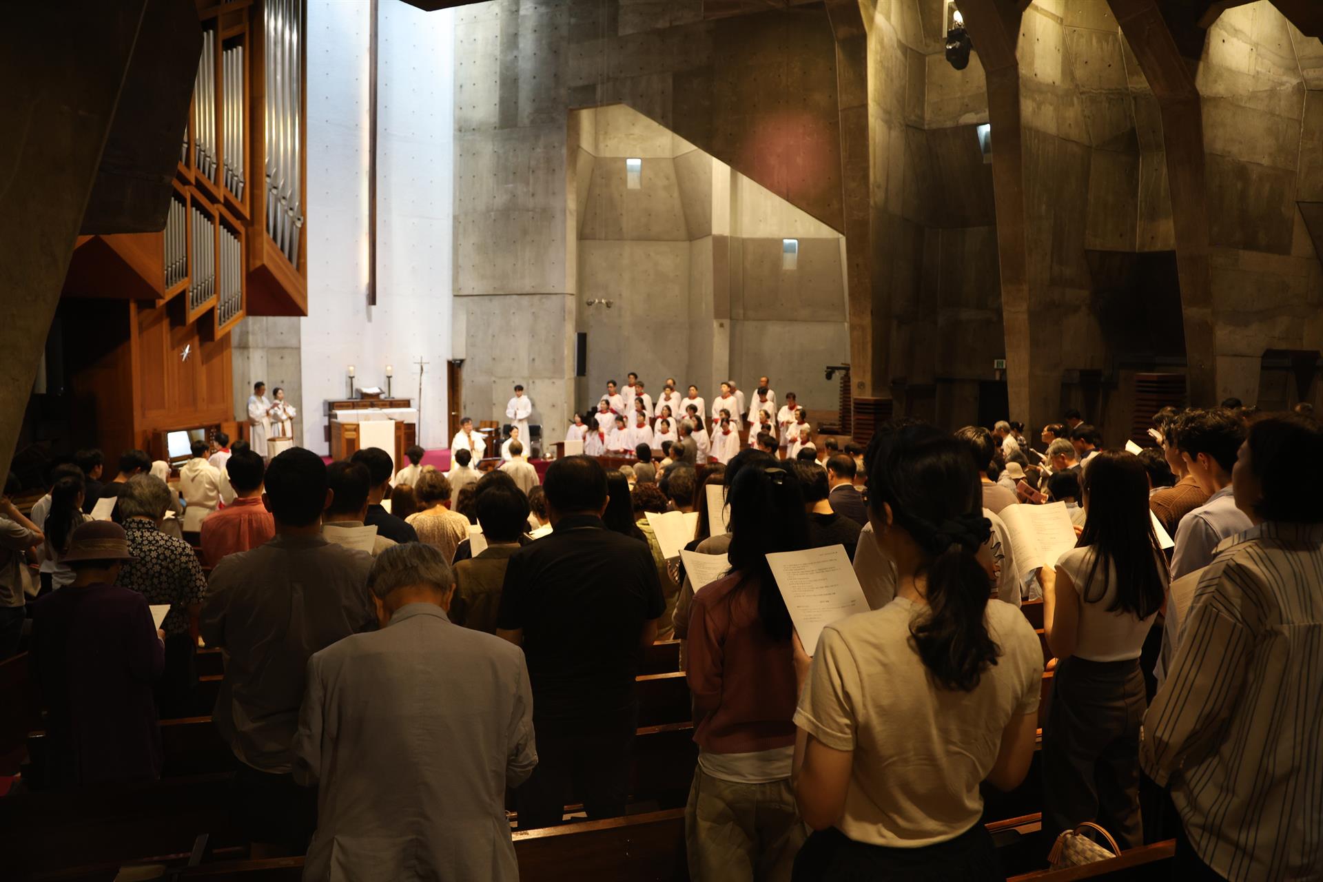 0N8A6815.JPG