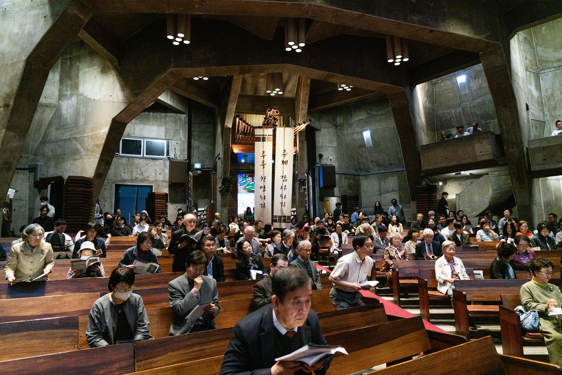 DSC07602.jpg