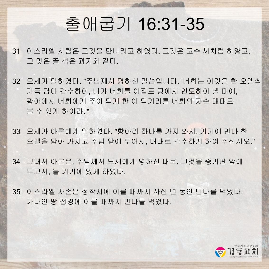 KakaoTalk_20260516_142443729_04.jpg